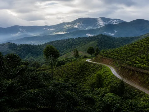 Mysore to Coorg