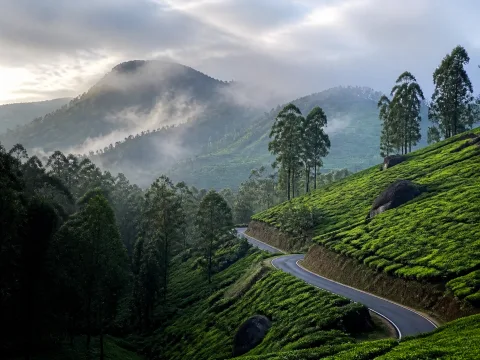 Mysore to Ooty